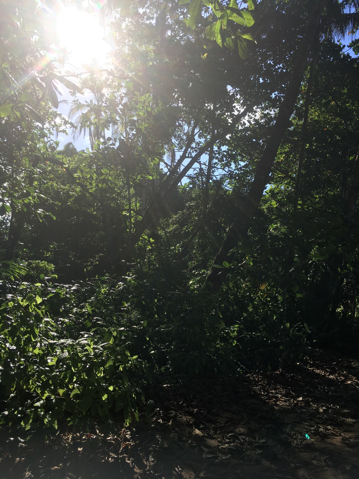 F480CF0B-F227-4BE0-A39E-E09B1BE22E07