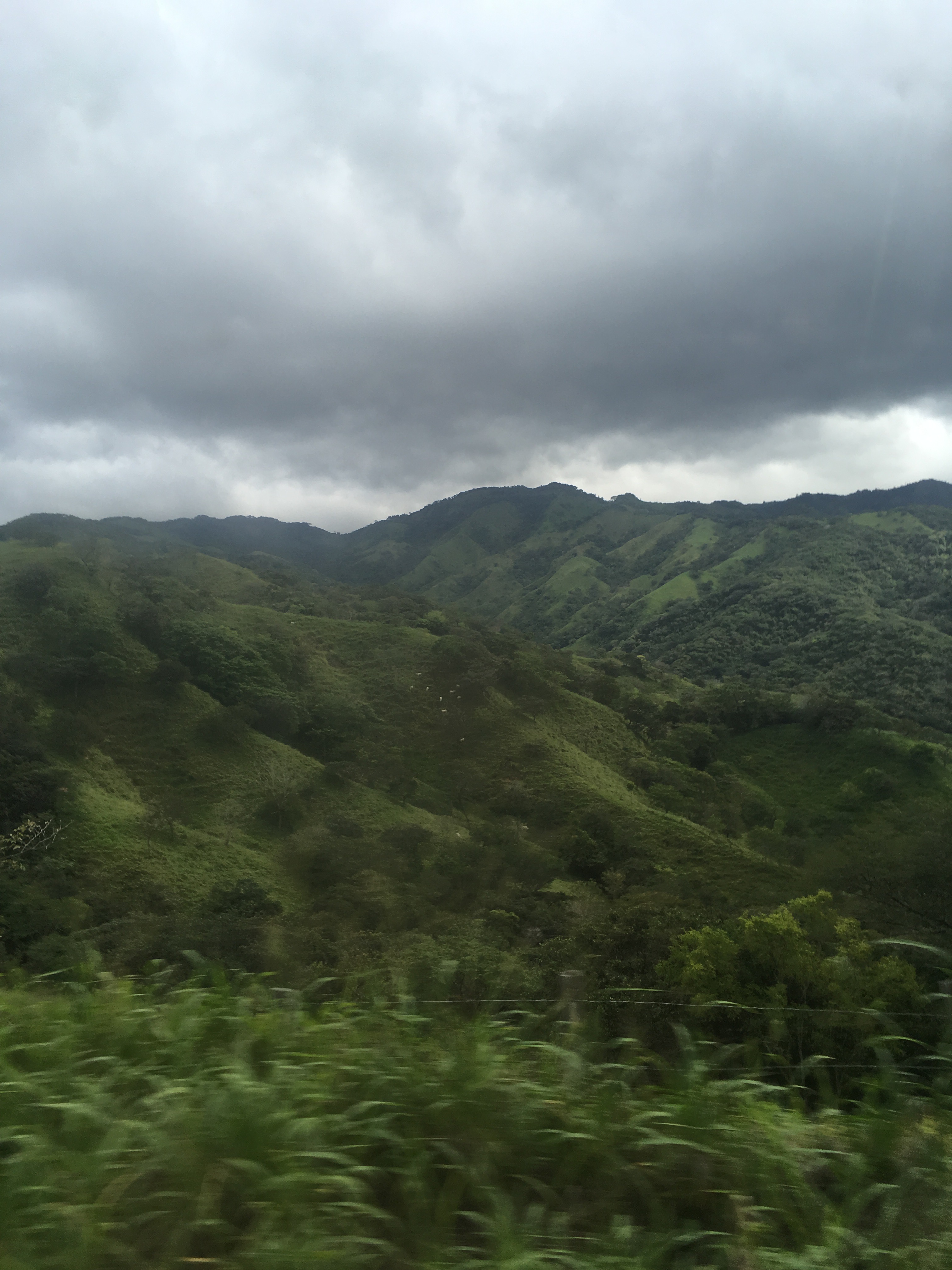 F8B4C500-077F-4D44-87B1-99117B03DAD7