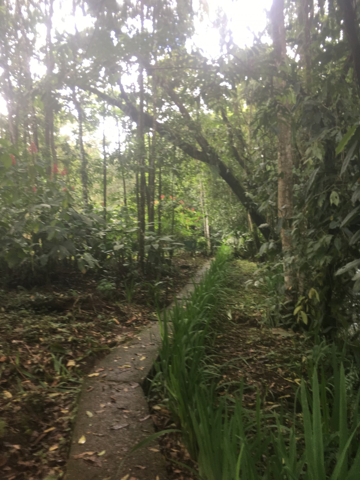 FC9D086F-7292-4DEE-9FD9-9B2A1A77F684