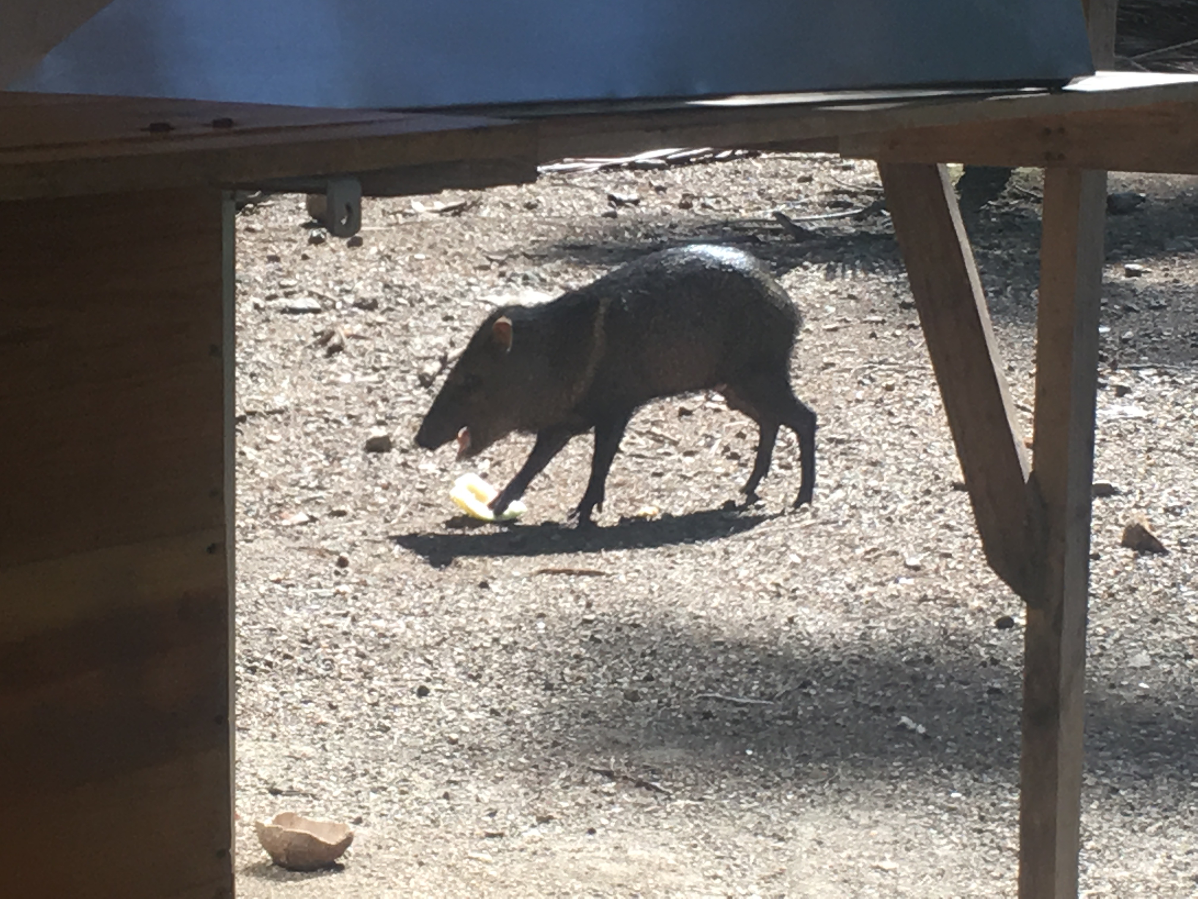 0A1C5D21-0A3D-4B64-BD8C-16EDA52994AB