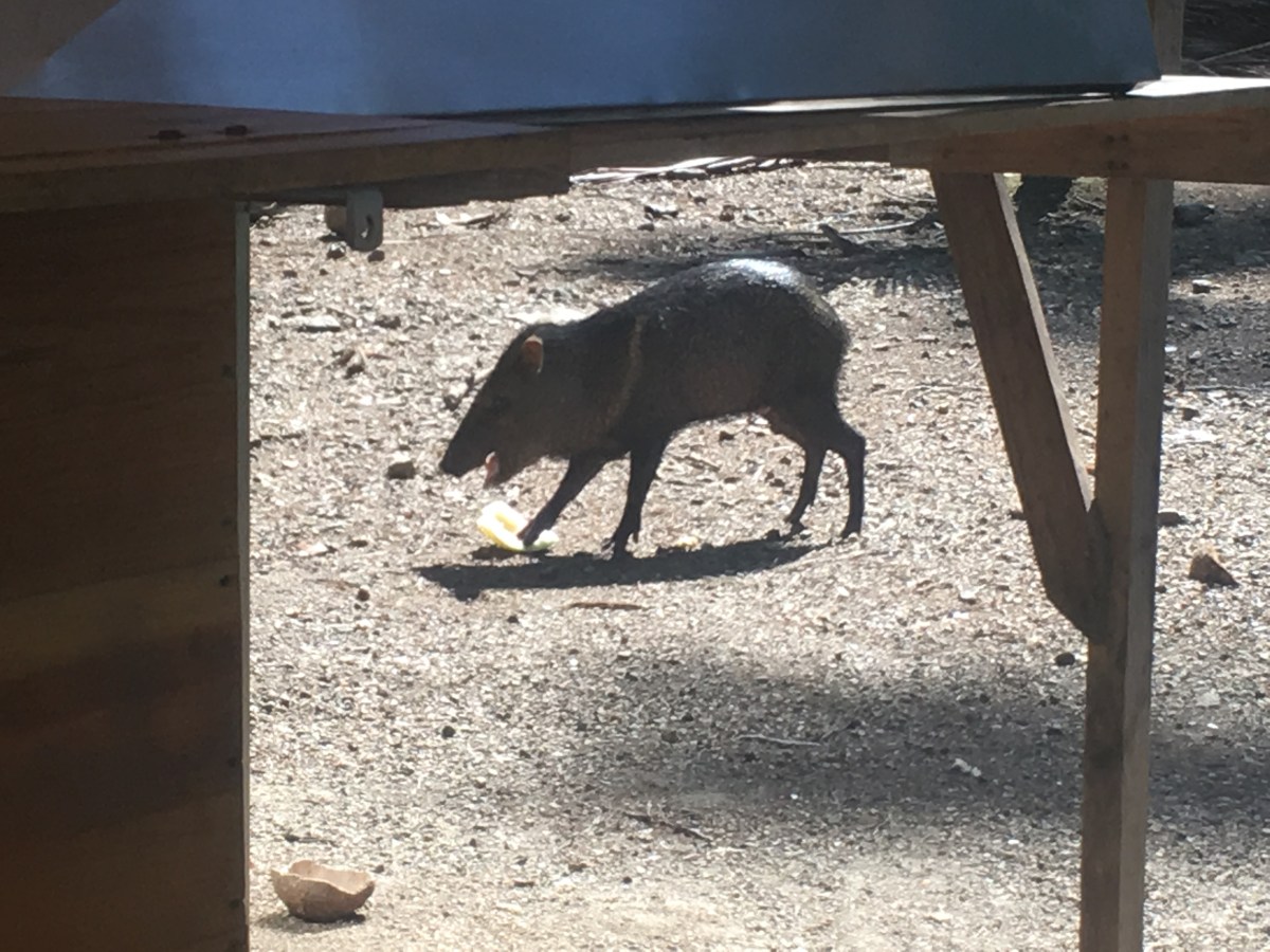 0A1C5D21-0A3D-4B64-BD8C-16EDA52994AB