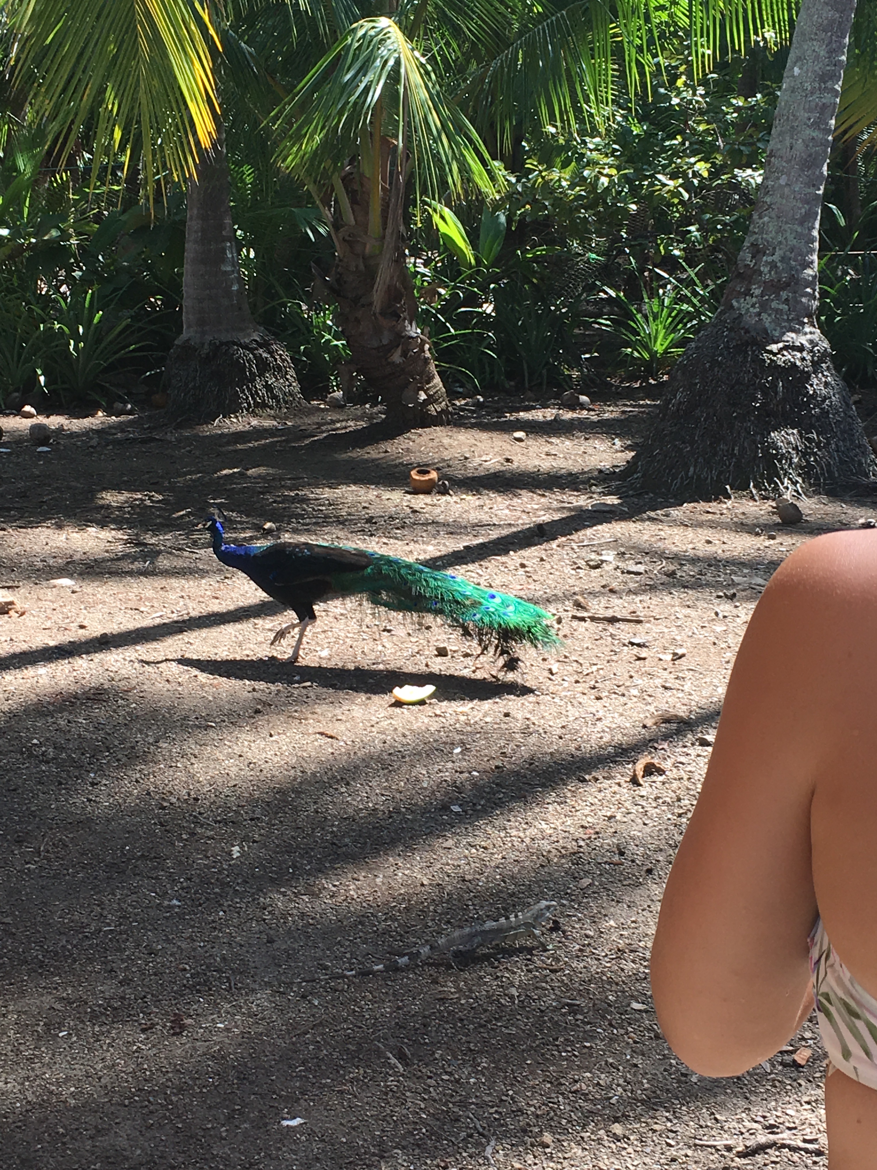 24574189-56D1-48E8-AAA1-8CB8F844F843