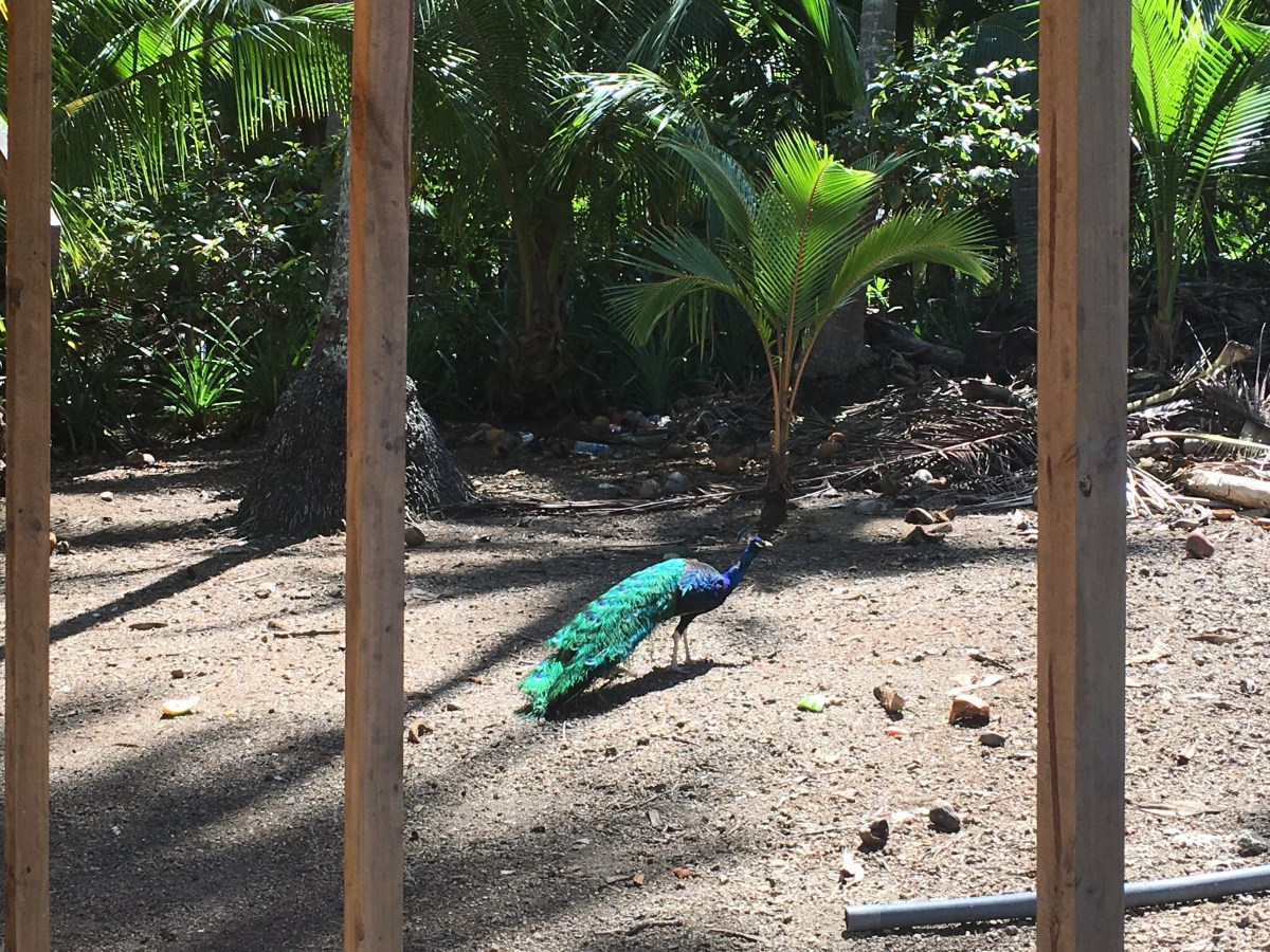 2803AE58-B185-4679-8387-39747B5BCF2E