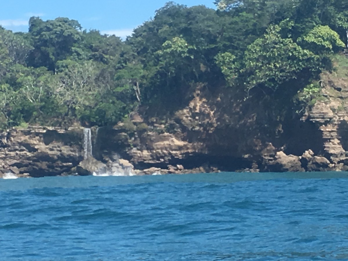 29F4792F-1C96-4002-9F05-BADE61F197A4