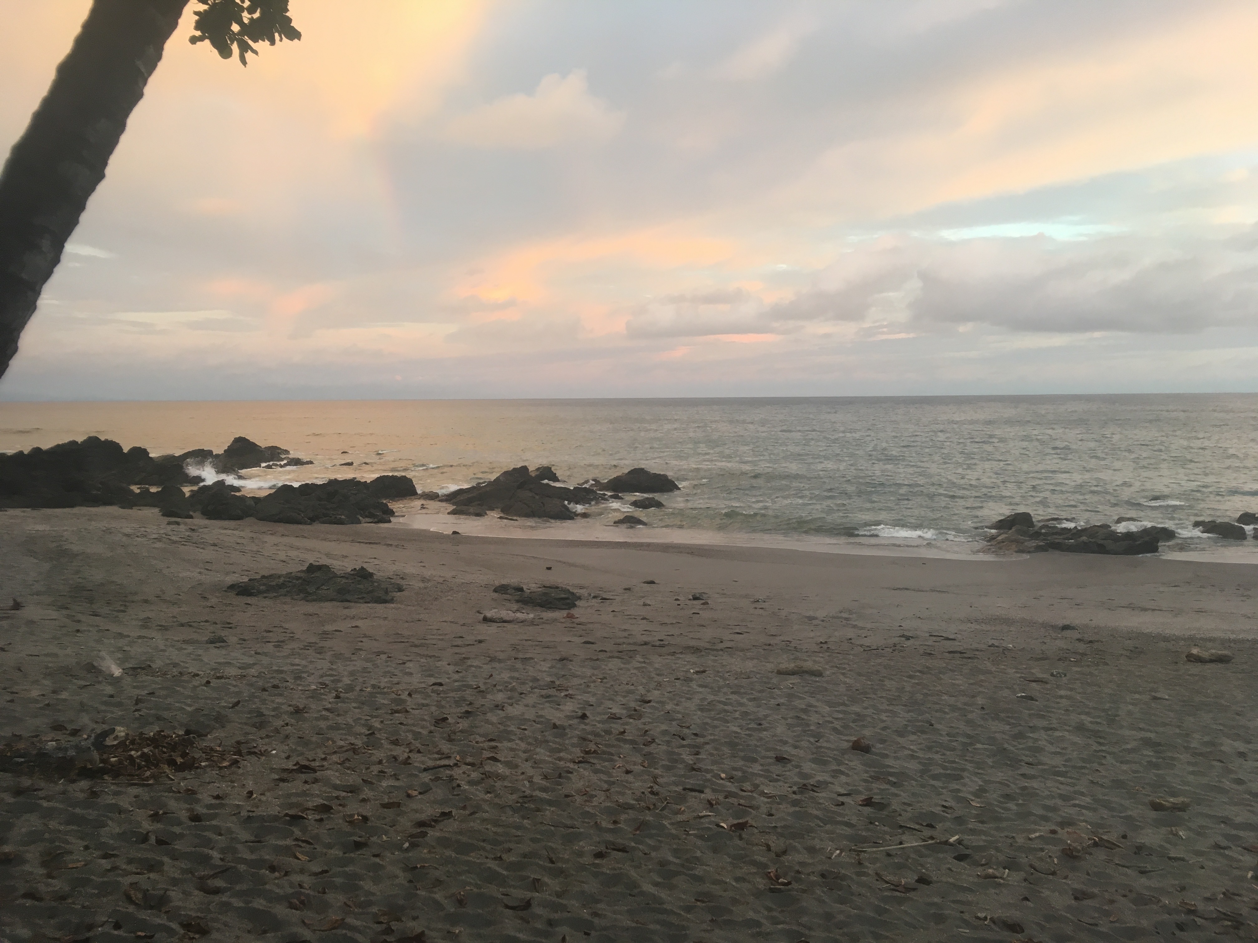 42506A7B-870B-4C10-B691-D6CD46553923