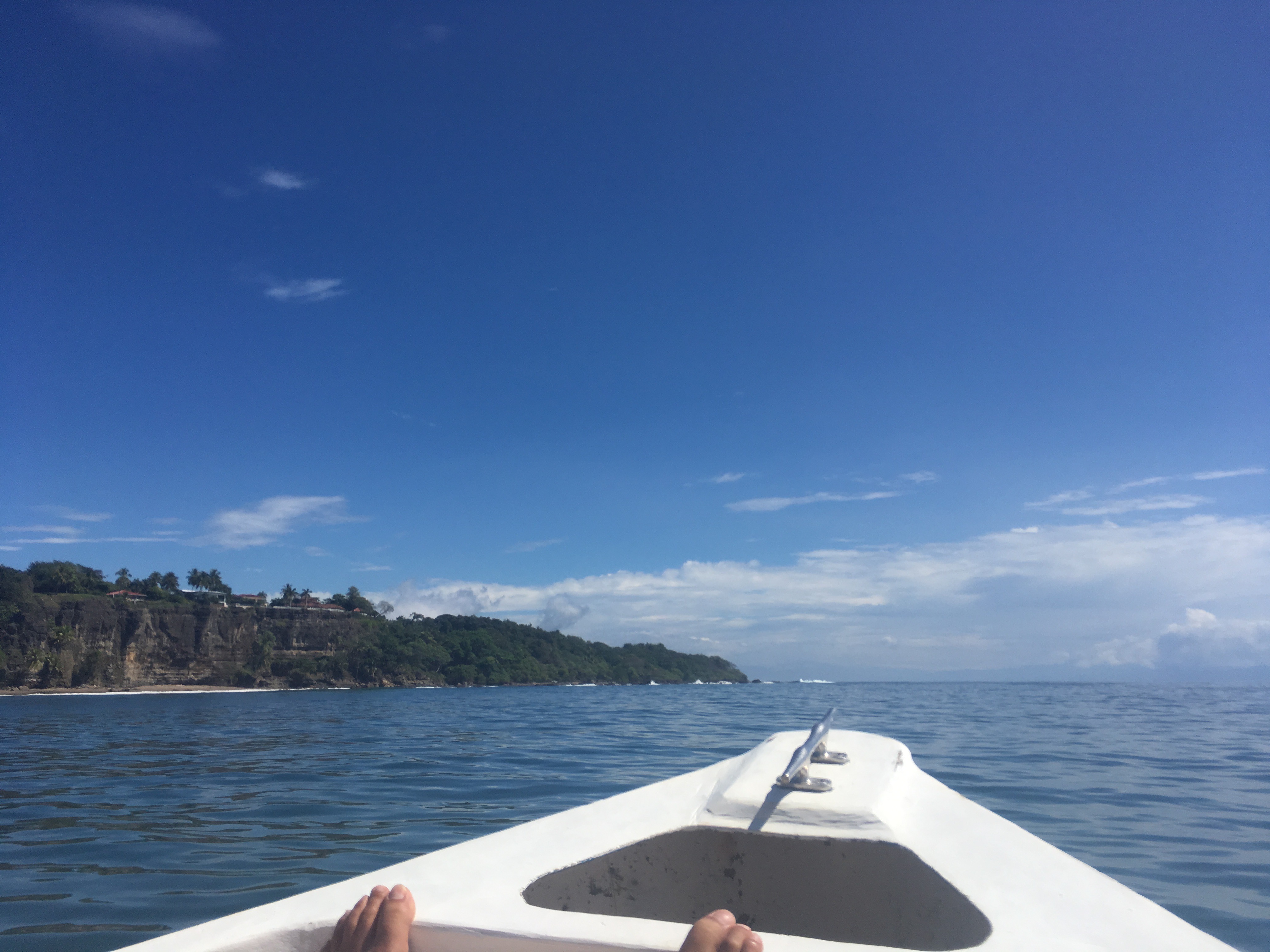 4596DEE9-E8F5-43BF-BBD5-5E621C7715EC