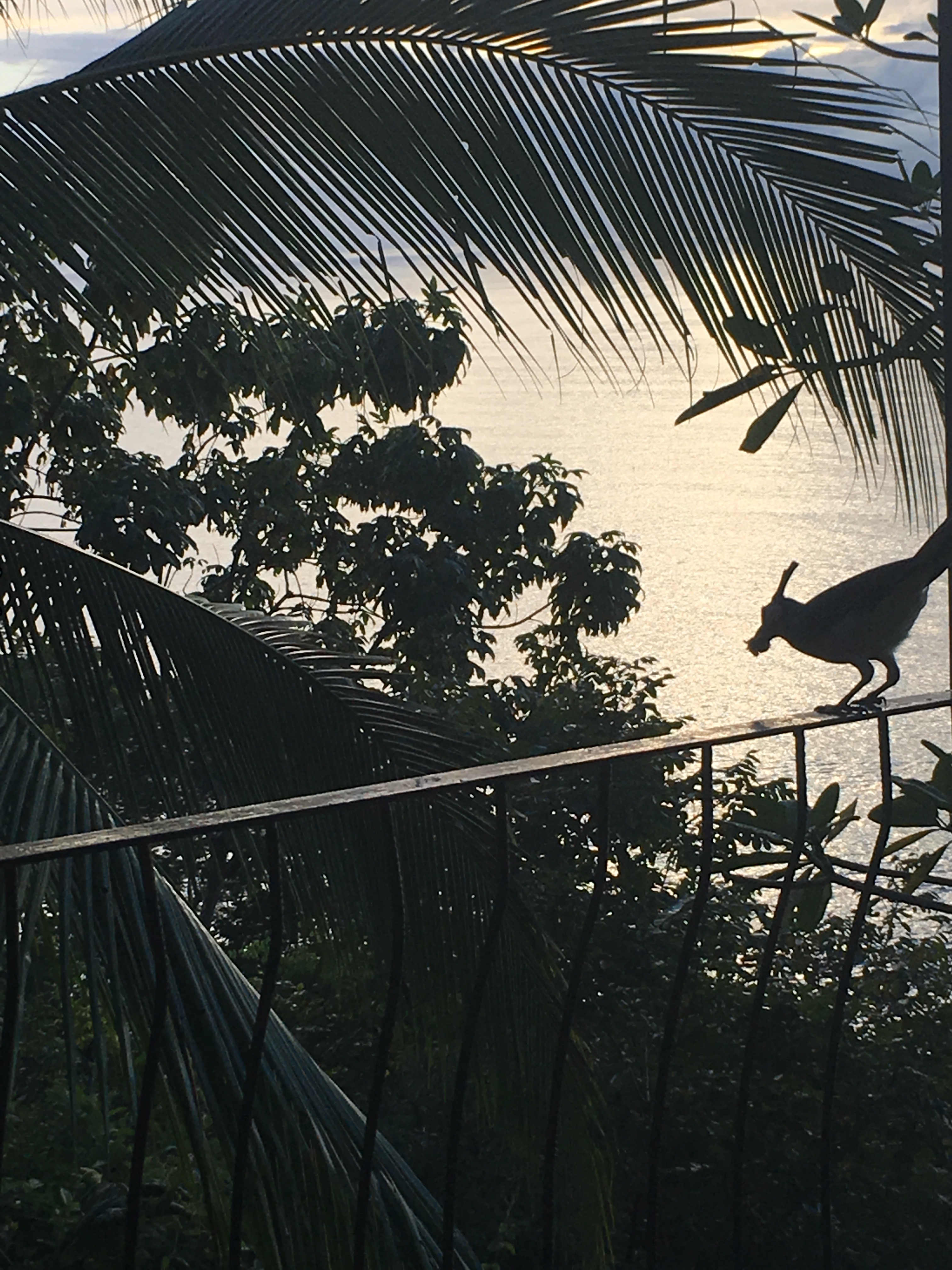 A930D846-1A04-4412-A48C-461C6FEDEE81