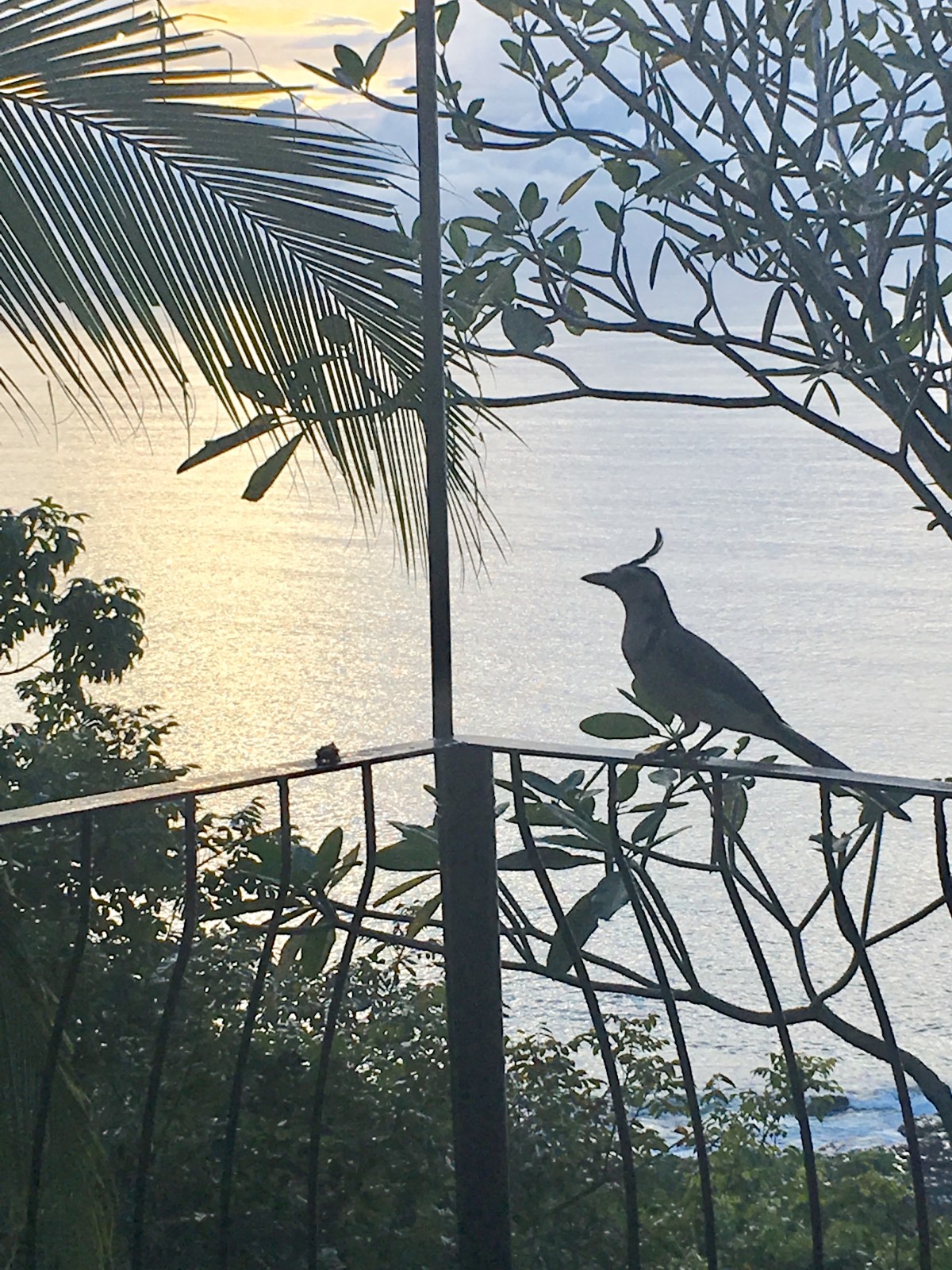 B83E225B-FE08-460E-AB42-4EE8CB88D01E