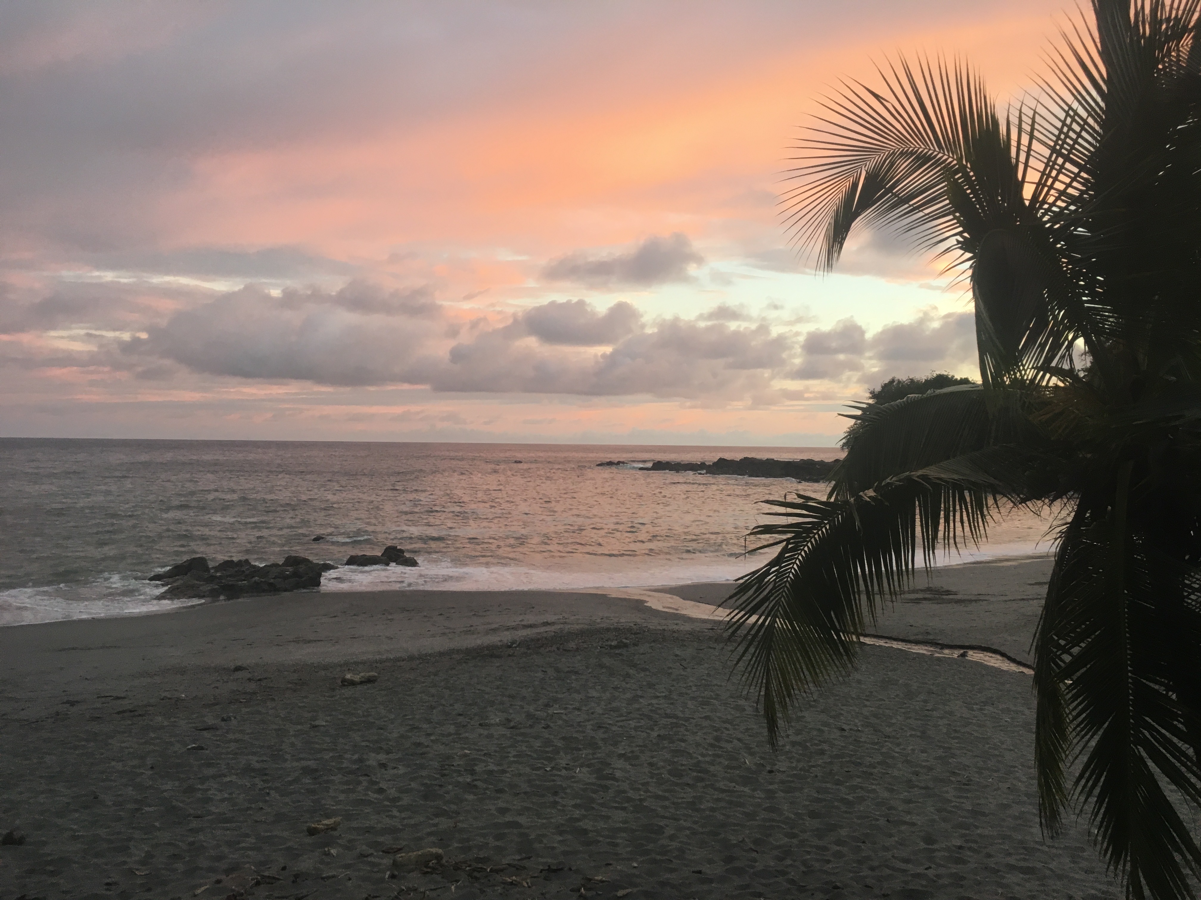 BE1FEF3B-F2E1-48C5-8D9C-2796CE55DF55