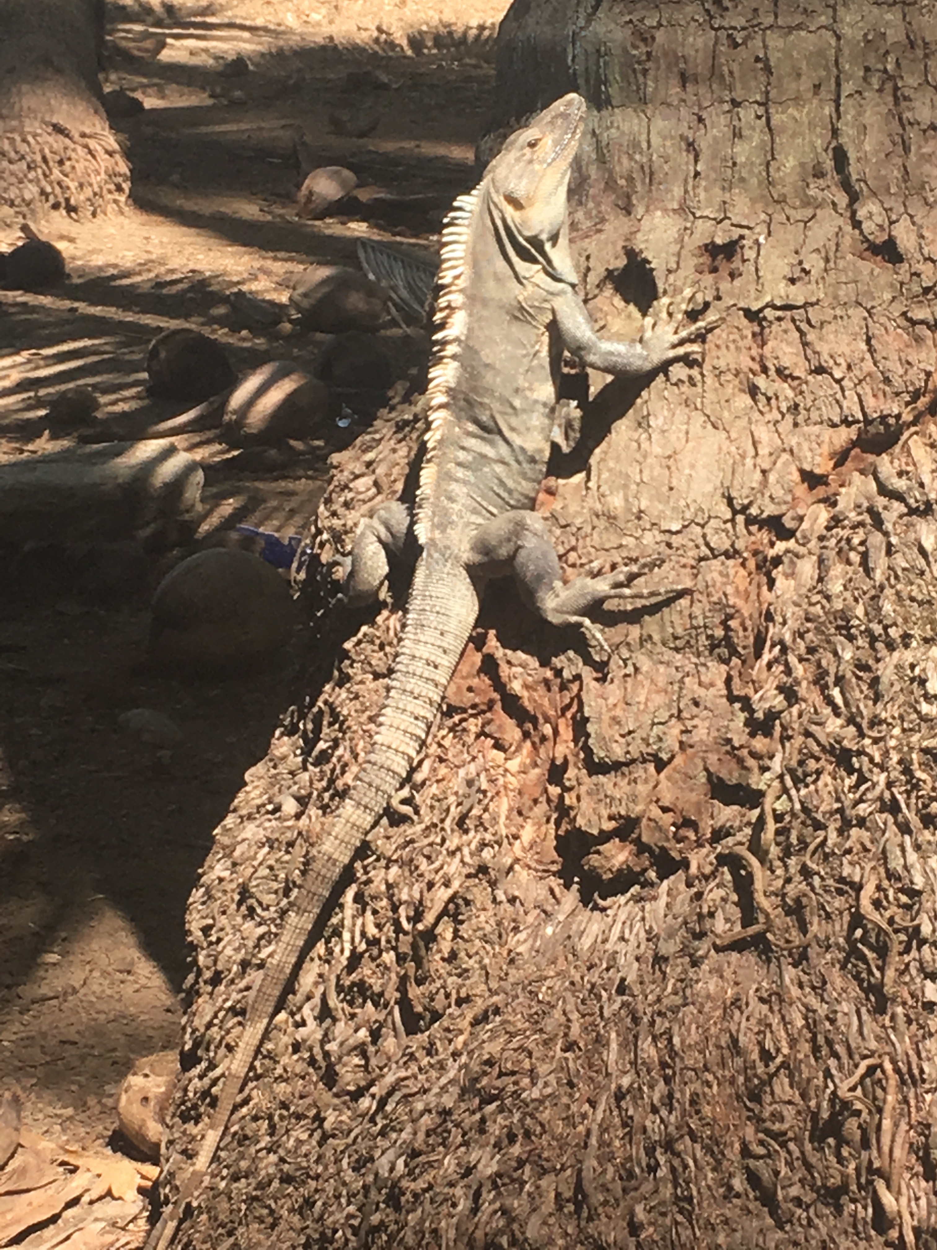 CFA702A3-4C16-47C1-A71D-5674E6ABE4A0