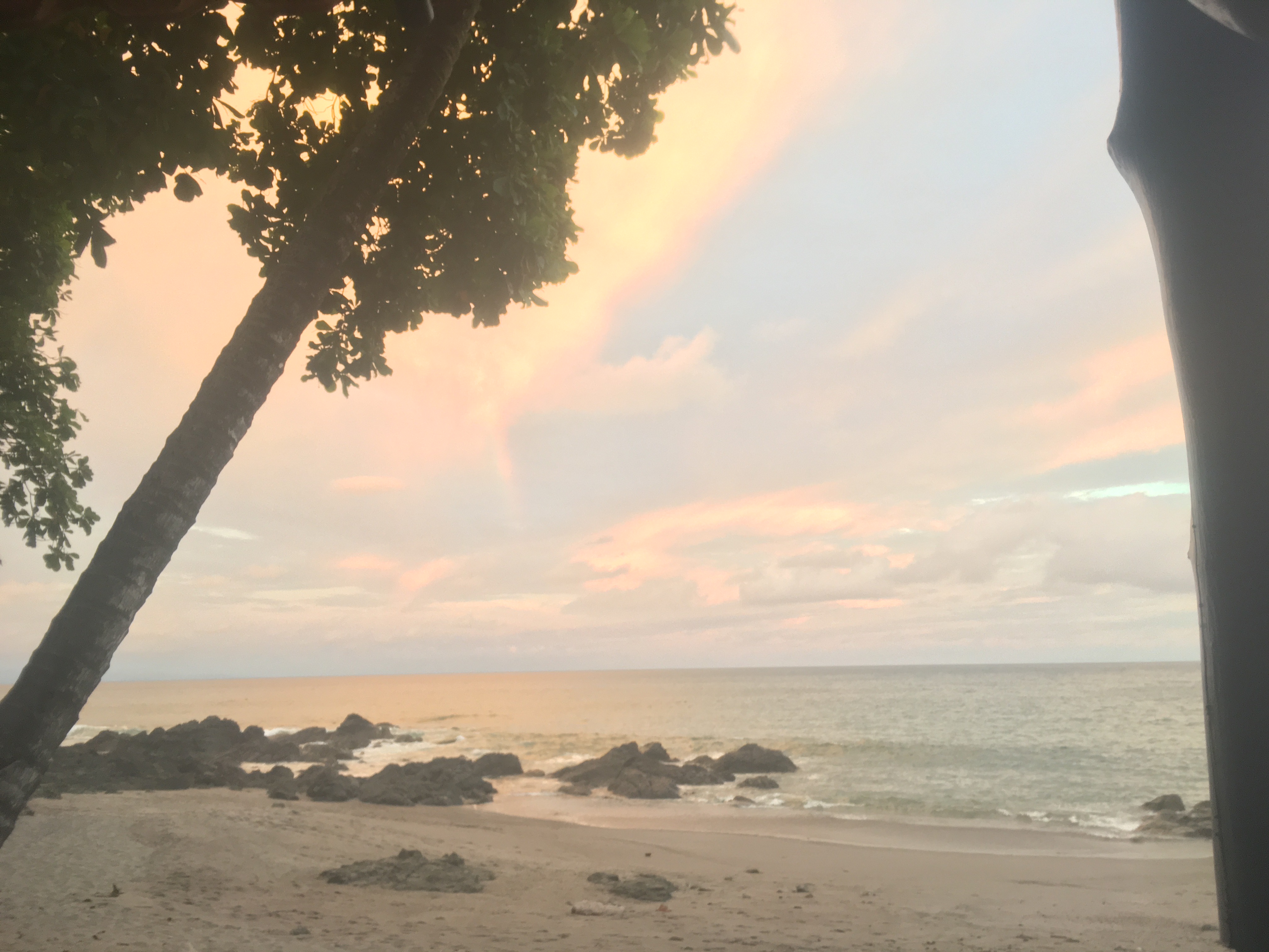 EE00C39D-ADB8-4D9C-AB3A-4ECA8BBF3146